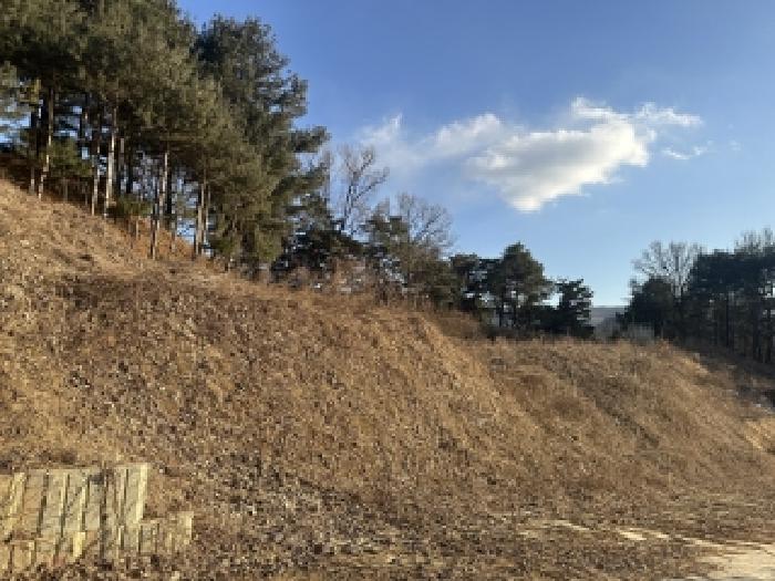 충청북도 청주시 상당구 가덕면 계산리 126-7 외 7필지 대지 경매 사진 6