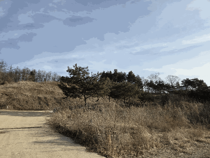충청북도 청주시 상당구 가덕면 계산리 126-7 외 7필지 대지 경매 사진 9