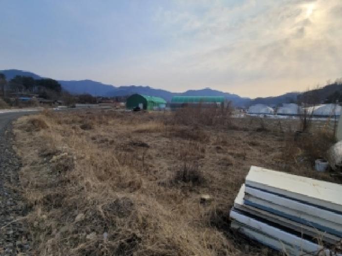 충청북도 괴산군 청안면 문방리 775 외 1필지 답 경매 사진 1
