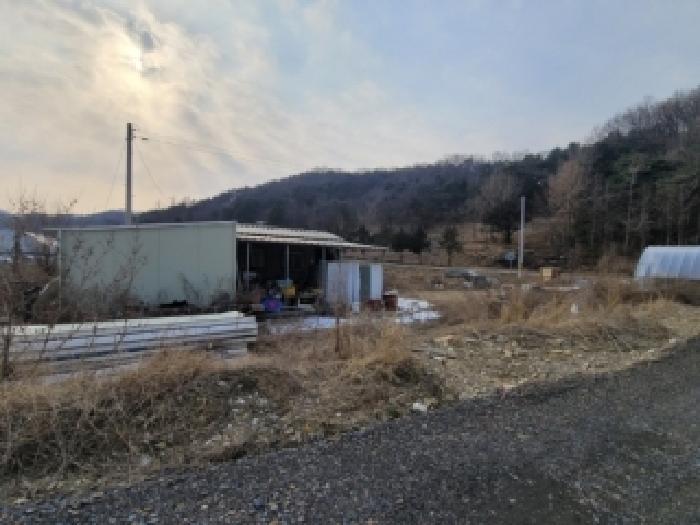 충청북도 괴산군 청안면 문방리 775 외 1필지 답 경매 사진 2
