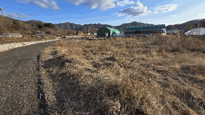 충청북도 괴산군 청안면 문방리 775 외 1필지 답 경매 사진 7