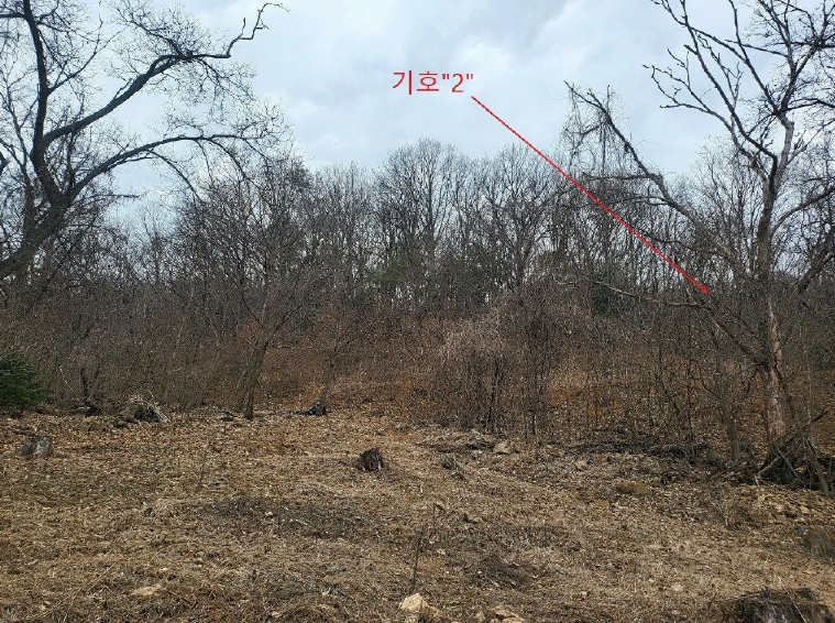 경기도 양평군 양서면 신원리 산95 임야 경매 사진 7