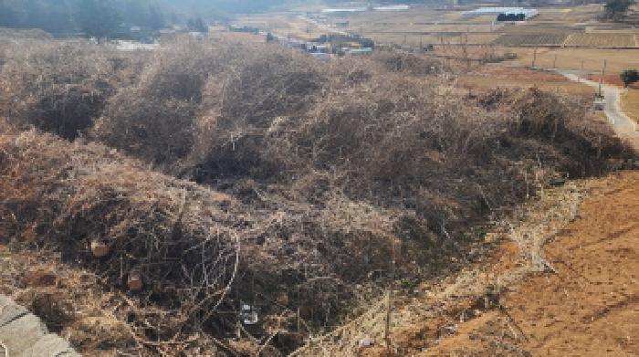 전라남도 고흥군 도화면 봉룡리 650 전 경매 사진 21