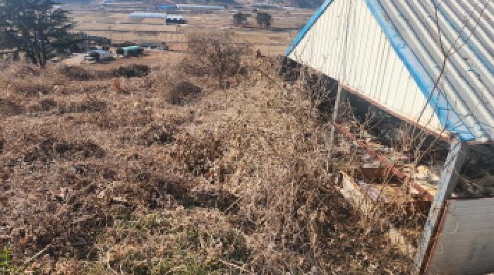 전라남도 고흥군 도화면 봉룡리 650 전 경매 사진 23