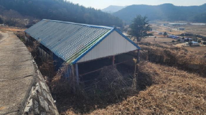 전라남도 고흥군 도화면 봉룡리 650 전 경매 사진 24