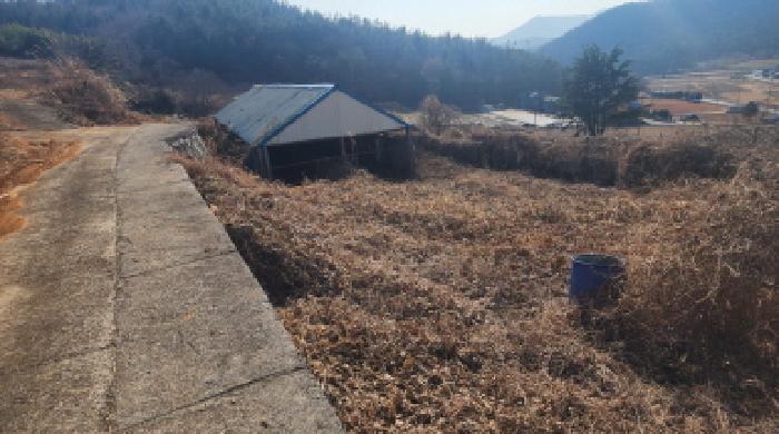 전라남도 고흥군 도화면 봉룡리 650 전 경매 사진 25