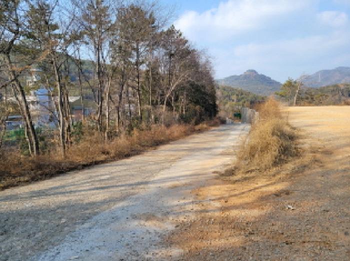 전라남도 여수시 소라면 봉두리 산438 외 1필지 임야 경매 사진 12