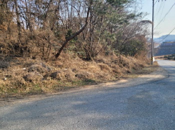 전라남도 여수시 소라면 봉두리 산438 외 1필지 임야 경매 사진 14