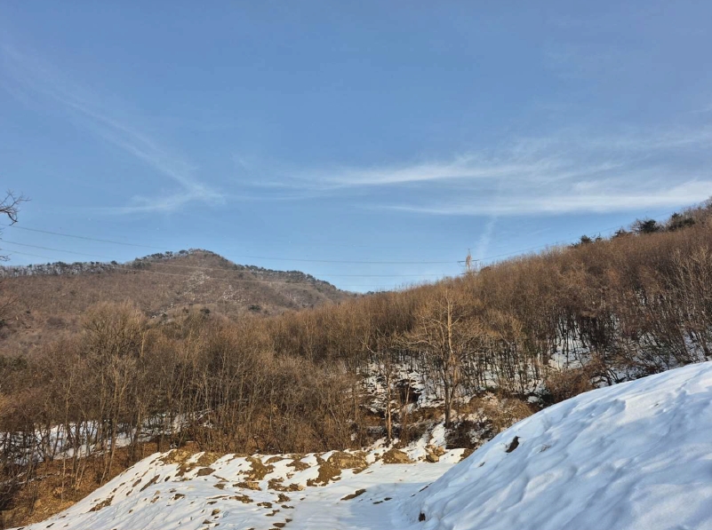 경기도 광주시 곤지암읍 봉현리 26 임야 경매 사진 18