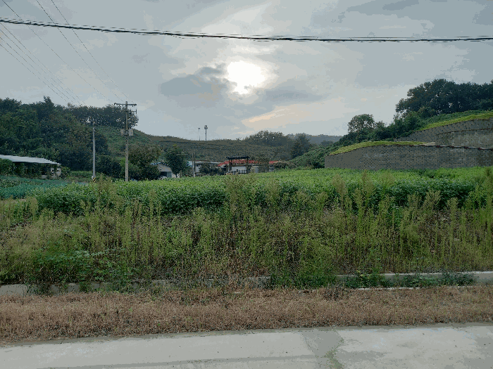 충청남도 예산군 응봉면 신리 145 대지 경매 사진 3