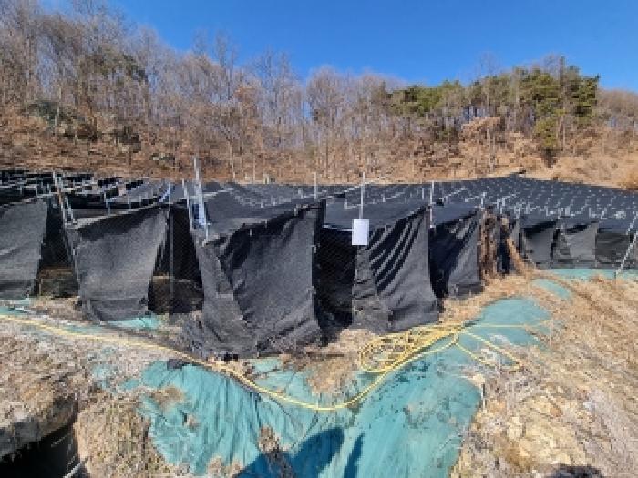 충청남도 금산군 금산읍 신대리 148-2 외 5필지 전 경매 사진 11