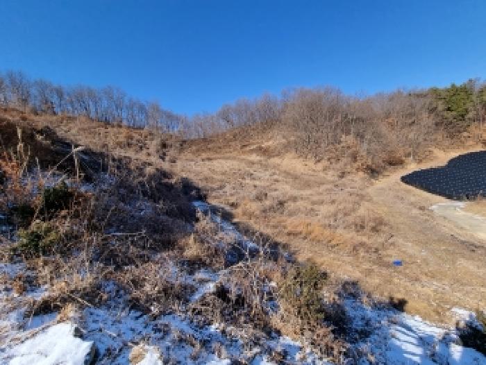 충청남도 금산군 금산읍 신대리 148-2 외 5필지 전 경매 사진 13