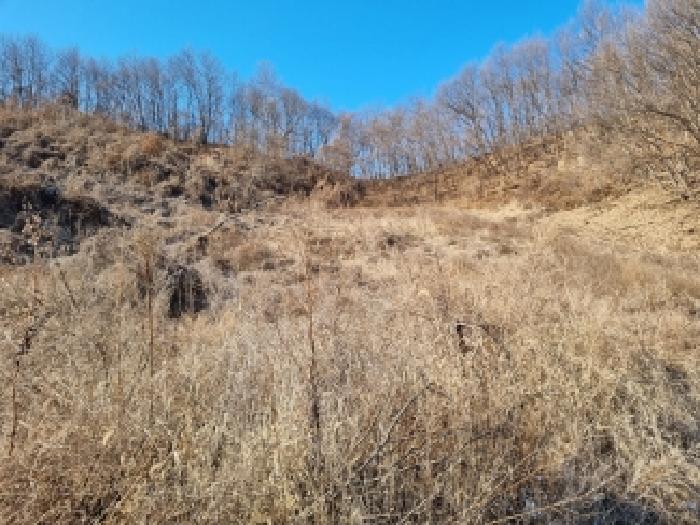 충청남도 금산군 금산읍 신대리 148-2 외 5필지 전 경매 사진 14