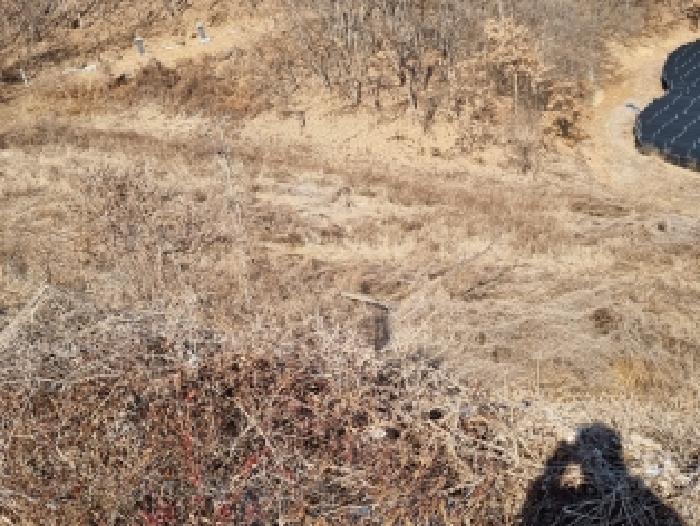 충청남도 금산군 금산읍 신대리 148-2 외 5필지 전 경매 사진 15