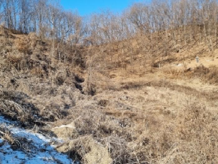 충청남도 금산군 금산읍 신대리 148-2 외 5필지 전 경매 사진 16