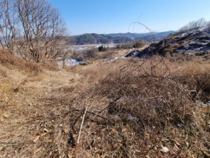 충청남도 금산군 금산읍 신대리 148-2 외 5필지 전 경매 사진 17