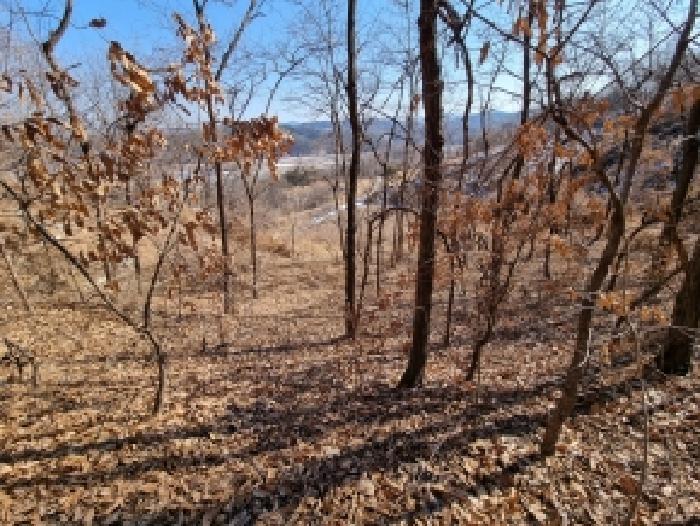충청남도 금산군 금산읍 신대리 148-2 외 5필지 전 경매 사진 18