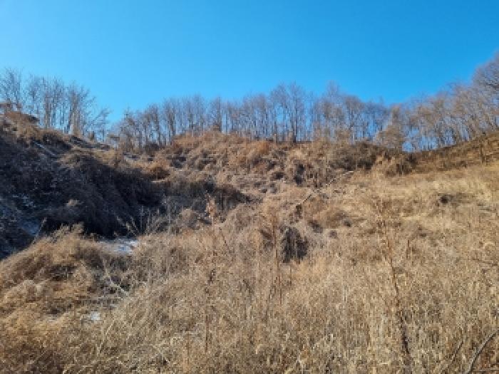 충청남도 금산군 금산읍 신대리 148-2 외 5필지 전 경매 사진 19