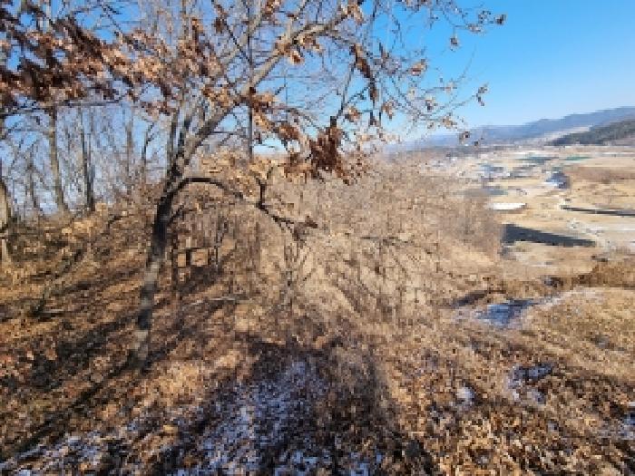 충청남도 금산군 금산읍 신대리 148-2 외 5필지 전 경매 사진 21