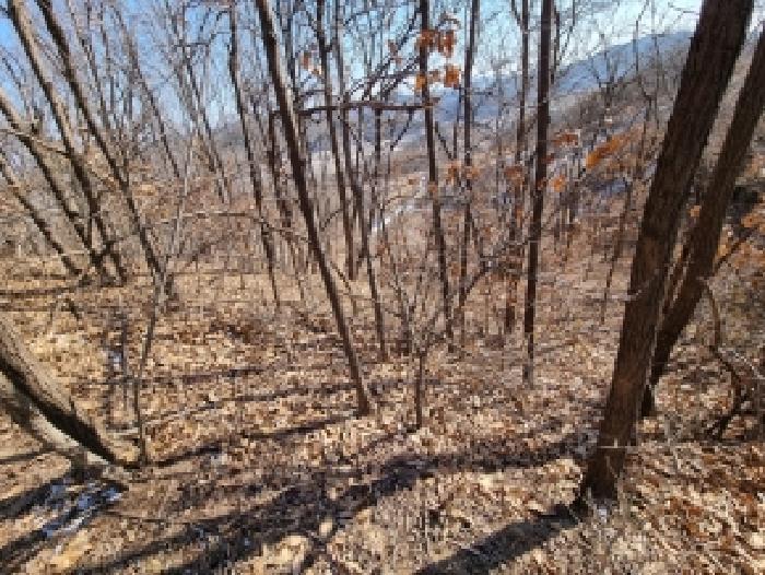 충청남도 금산군 금산읍 신대리 148-2 외 5필지 전 경매 사진 23