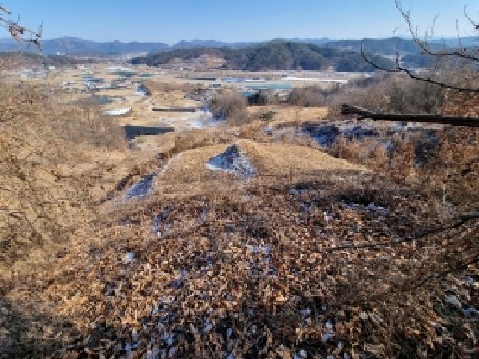 충청남도 금산군 금산읍 신대리 148-2 외 5필지 전 경매 사진 24