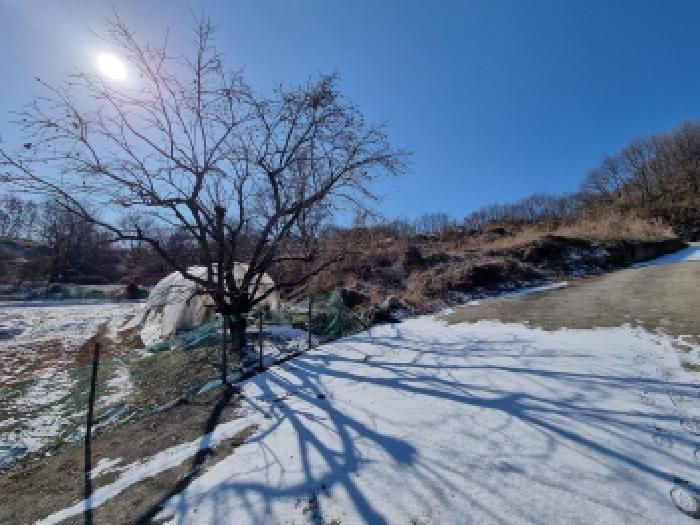 충청남도 금산군 금산읍 신대리 148-2 외 5필지 전 경매 사진 25
