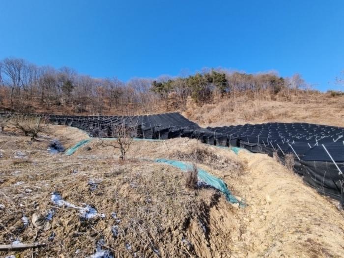 충청남도 금산군 금산읍 신대리 148-2 외 5필지 전 경매 사진 30