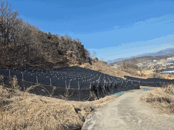 충청남도 금산군 금산읍 신대리 148-2 외 5필지 전 경매 사진 36