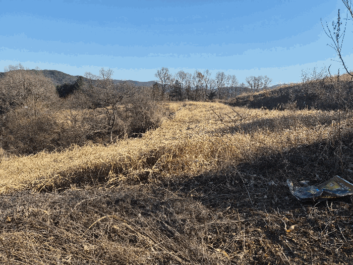 충청남도 금산군 금산읍 신대리 148-2 외 5필지 전 경매 사진 37