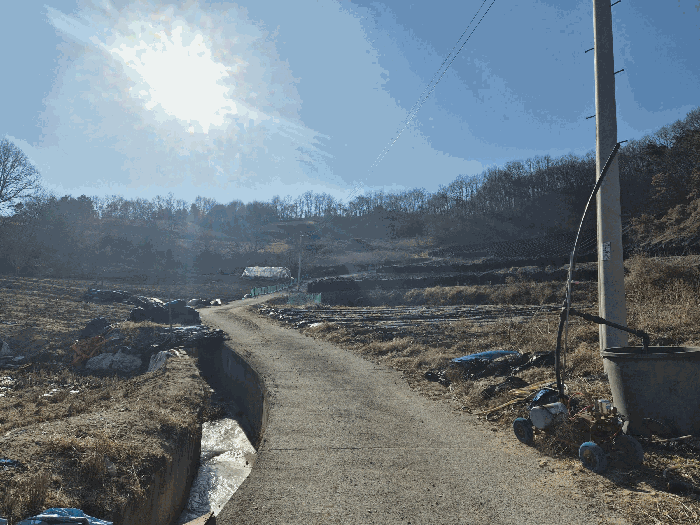 충청남도 금산군 금산읍 신대리 148-2 외 5필지 전 경매 사진 40