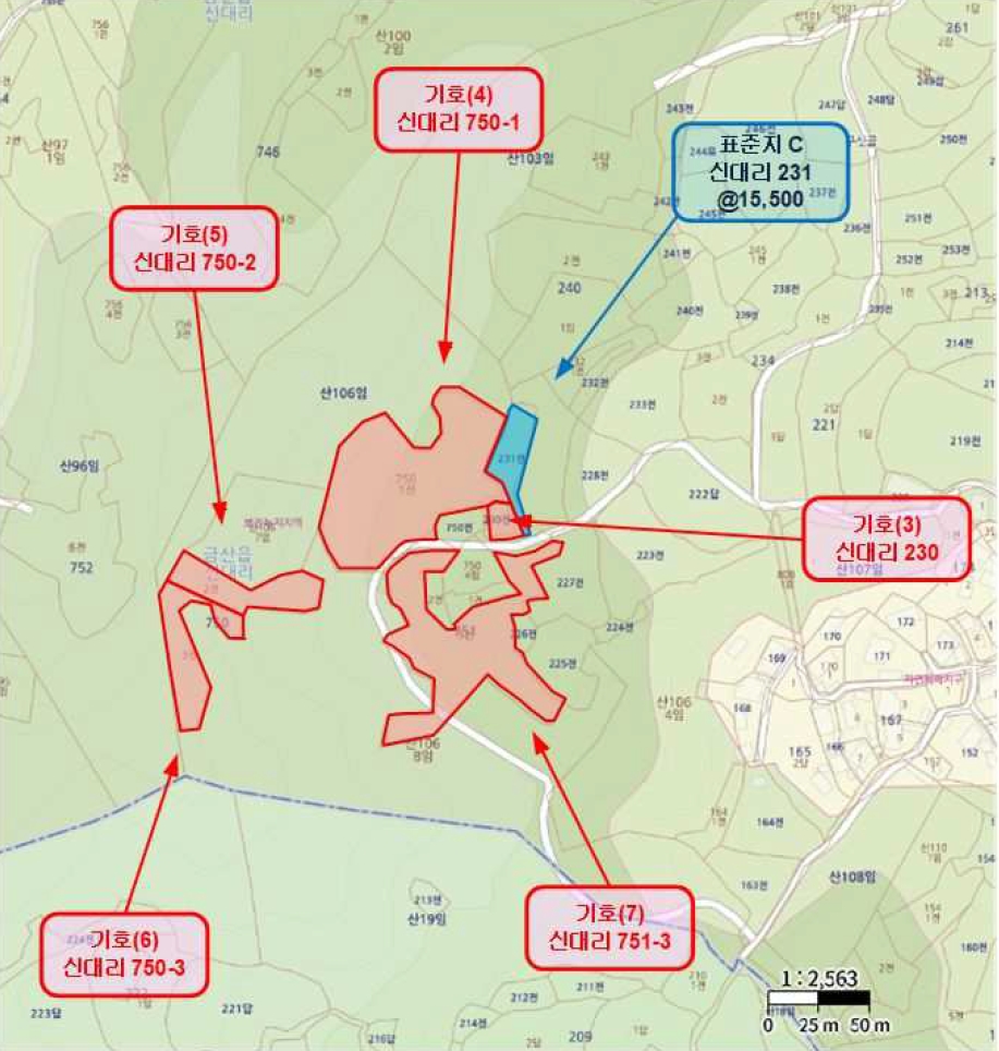 충청남도 금산군 금산읍 신대리 148-2 외 5필지 전 경매 사진 43
