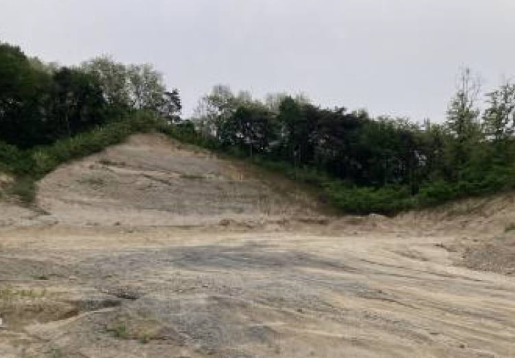 충청북도 제천시 왕암동 산18-5 임야 경매 사진 35