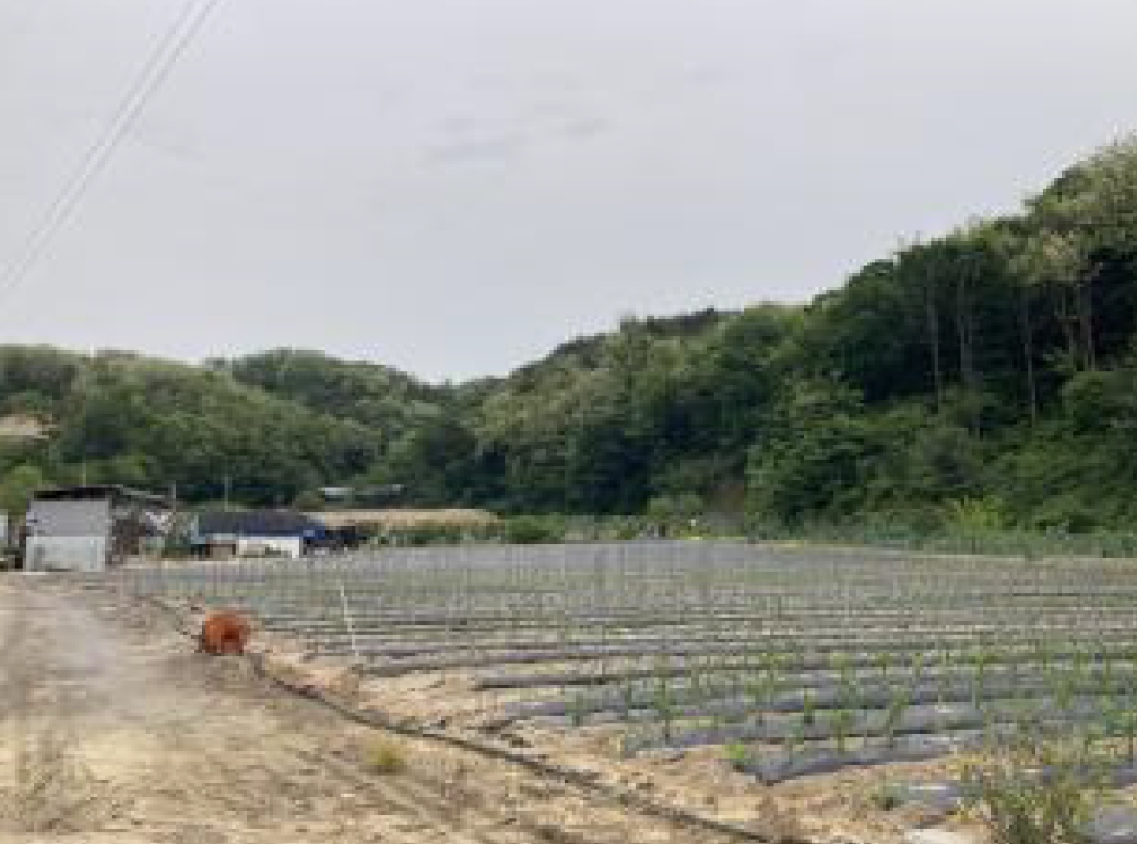 충청북도 제천시 왕암동 산18-5 임야 경매 사진 37