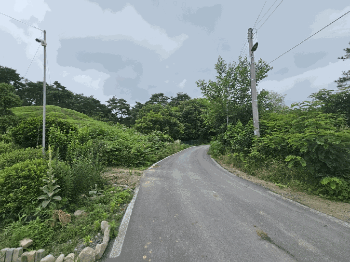 충청북도 제천시 고명동 464-3 답 경매 사진 41