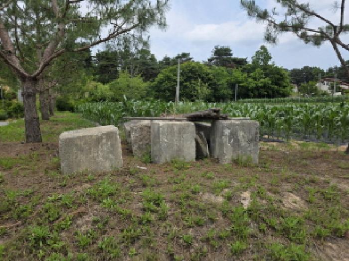 충청북도 제천시 고명동 464-3 답 경매 사진 27