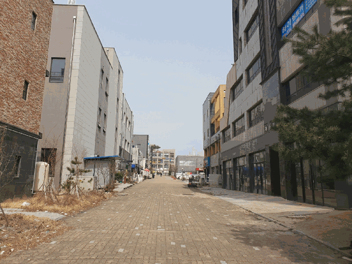 충청북도 음성군 맹동면 동성리 513 1층103호 근린상가 경매 사진 40