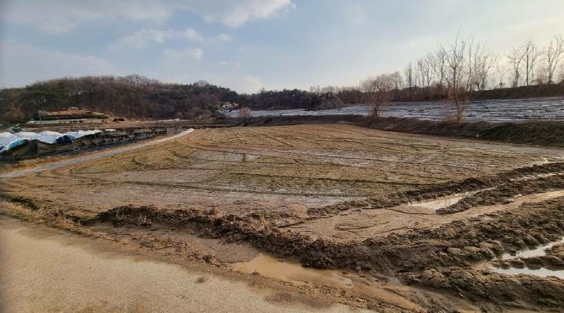 경기도 안성시 일죽면 장암리 100 전 경매 사진 17