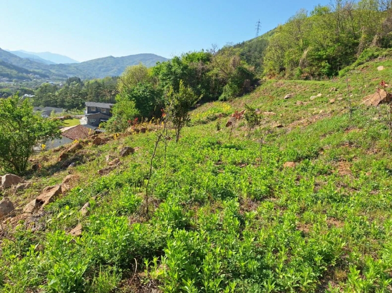 전라남도 순천시 덕월동 1321-45 전 경매 사진 104
