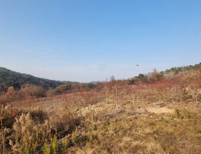 전북특별자치도 임실군 임실읍 정월리 928 답 경매 사진 22