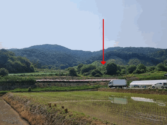 전북특별자치도 임실군 임실읍 정월리 928 답 경매 사진 26