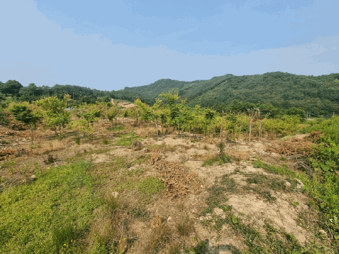 전북특별자치도 임실군 임실읍 정월리 928 답 경매 사진 27