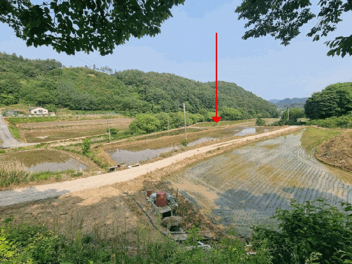 전북특별자치도 임실군 임실읍 정월리 1153-1 답 경매 사진 20