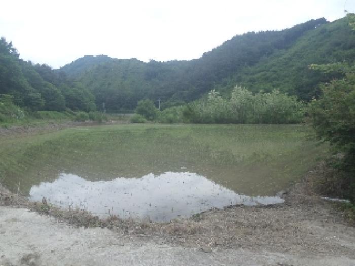 전북특별자치도 임실군 임실읍 정월리 1164-2 답 경매 사진 18