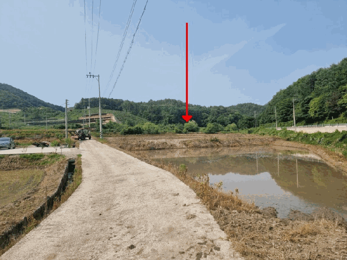 전북특별자치도 임실군 임실읍 정월리 1164-2 답 경매 사진 23