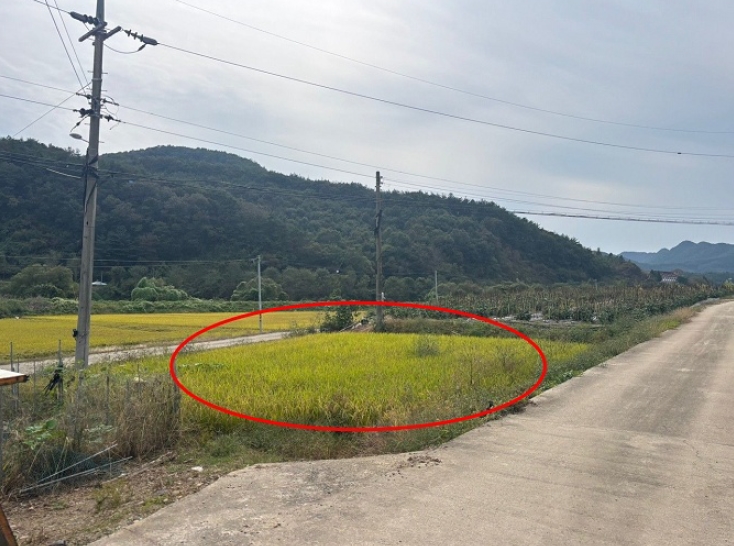 충청북도 보은군 산외면 길탕리 217-1 답 경매 사진 6