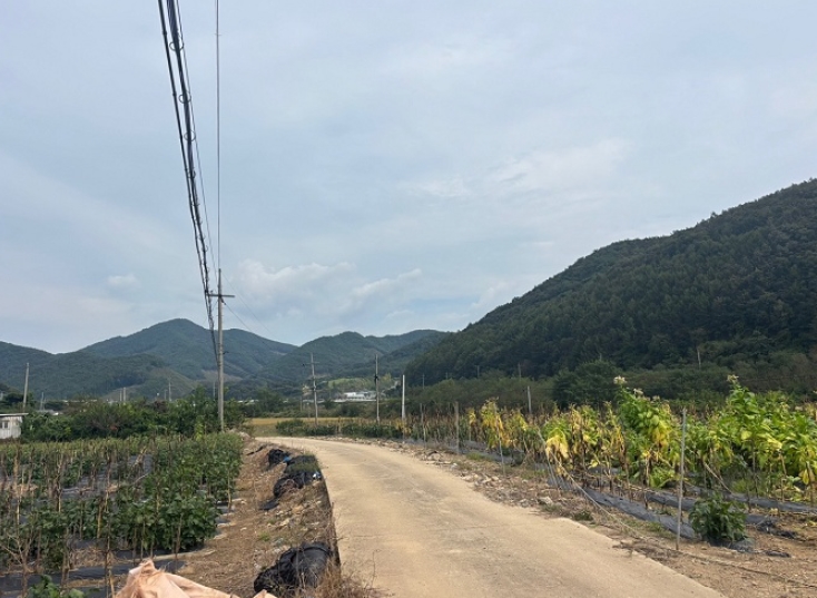 충청북도 보은군 산외면 길탕리 217-1 답 경매 사진 7