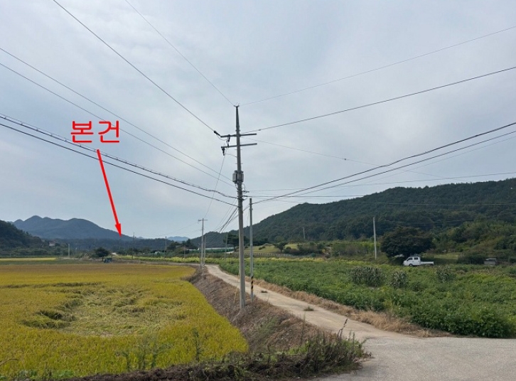 충청북도 보은군 산외면 길탕리 217-1 답 경매 사진 8