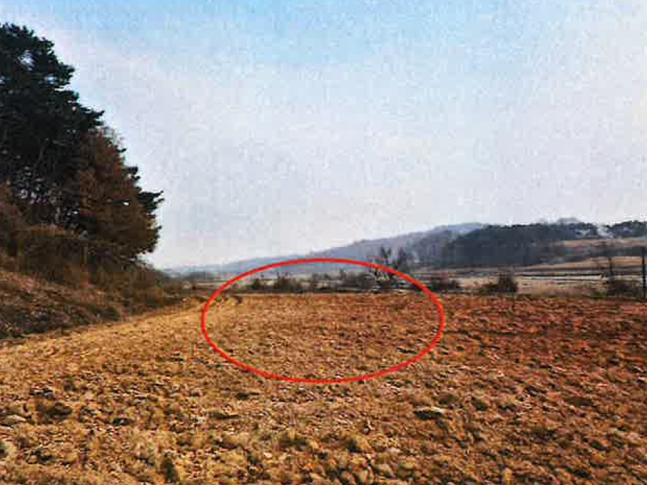 충청남도 당진시 송악읍 영천리 250-5 전답 경매 사진 1