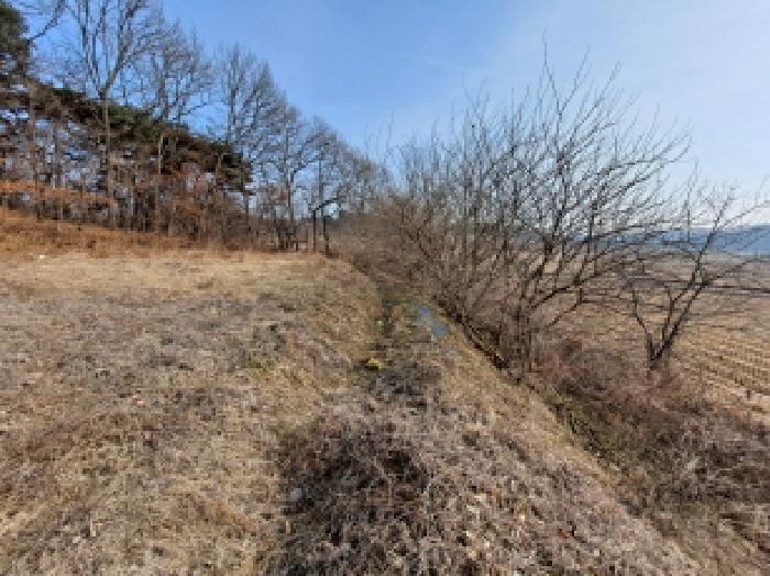 충청남도 당진시 송악읍 영천리 250-5 전답 경매 사진 6