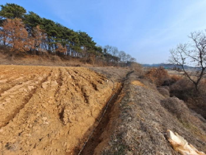 충청남도 당진시 송악읍 영천리 250-5 전답 경매 사진 7